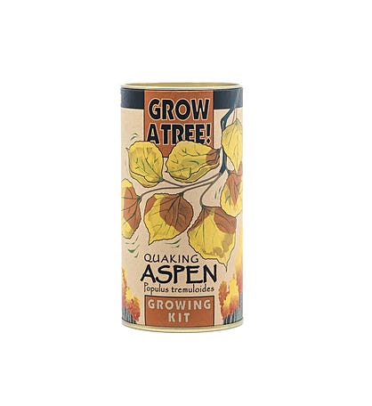 Quaking Aspen Seed Grow Kit